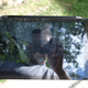 Image for article titled Nvidia Shield Tablet Review: A Gaming Beast, But So Much More